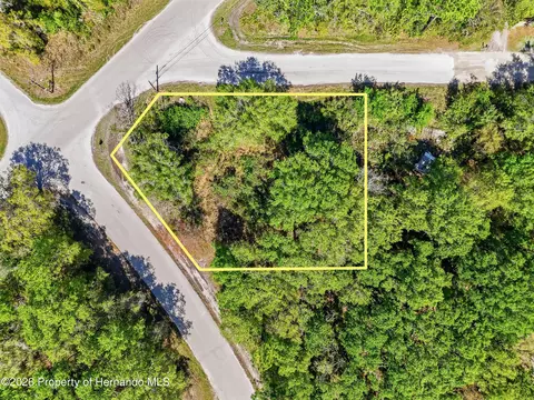 100 Fern St, New Port Richey, FL 34654