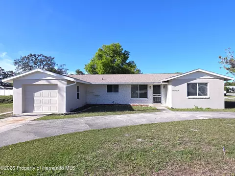 6568 Treehaven Dr, Spring Hill, FL 34606