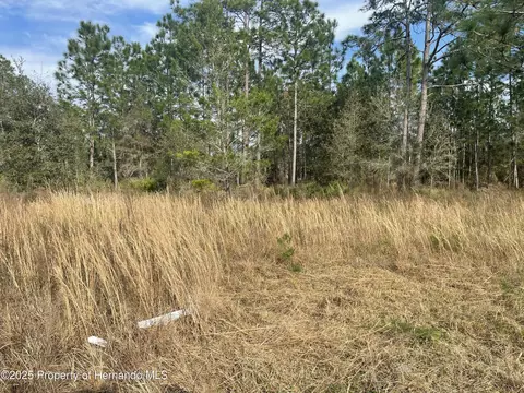 18061 Necklace Warbler Ave, Brooksville, FL 34614