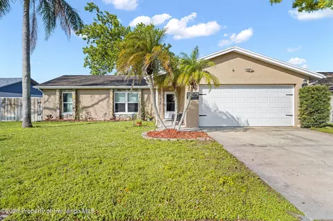 11201 Island Pine Dr, Port Richey, FL 34668
