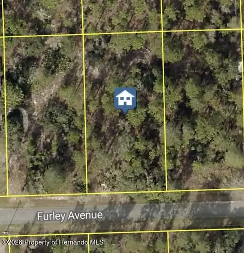 11323 Furley Ave, Spring Hill, FL 34613