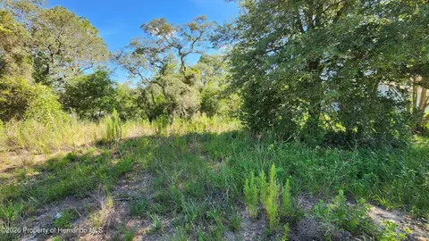0 Centennial St, Spring Hill, FL 34609 photo 3