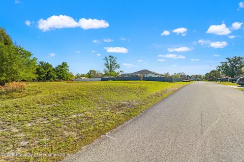 Undisclosed, Spring Hill, FL 34608 photo 3