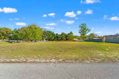 Undisclosed, Spring Hill, FL 34608 photo 2