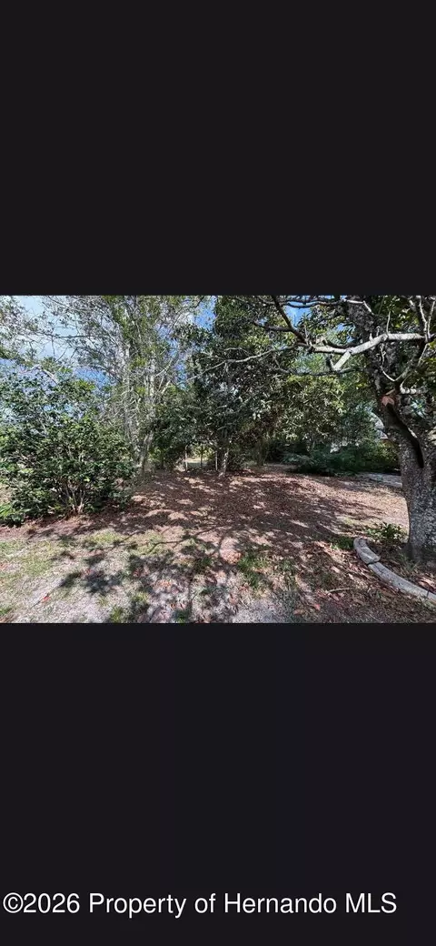 0 Cavern Rd, Spring Hill, FL 34609 photo 3