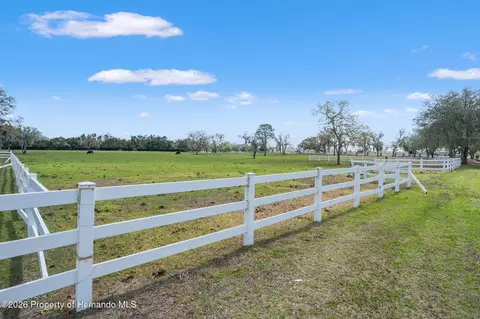 0 Gloucester Rd, Spring Hill, FL 34604 photo 14