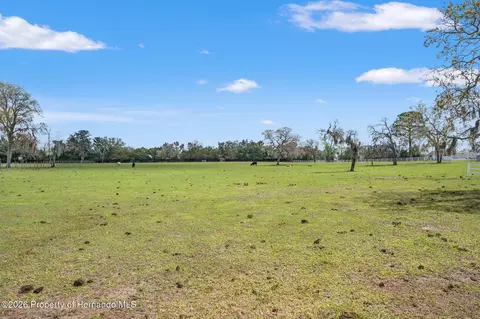 0 Gloucester Rd, Spring Hill, FL 34604 photo 13