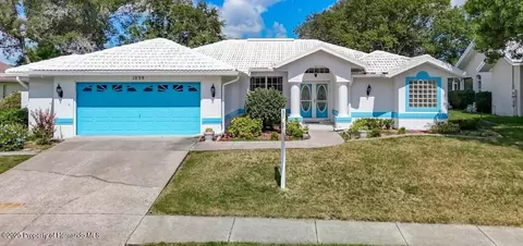 1039 Greenturf Rd, Spring Hill, FL 34608