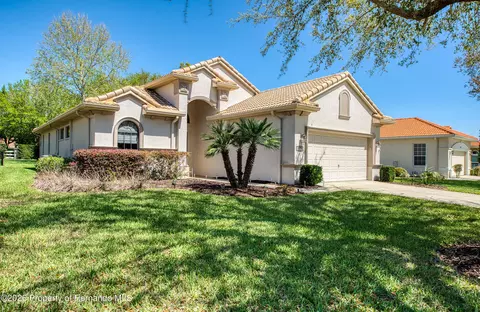 Exterior - 1591 W Laurel Glen Path, Hernando, FL 34442 photo 2 of 12