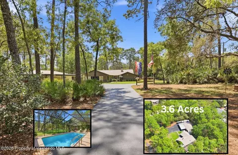 9032 Birmingham Ave, Weeki Wachee, FL 34613