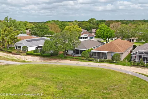 View/Area - 14466 Tamarind Loop, Spring Hill, FL 34609 photo 2 of 13