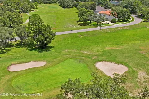 View/Area - 14466 Tamarind Loop, Spring Hill, FL 34609 photo 11 of 13