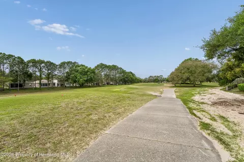 Other - 14466 Tamarind Loop, Spring Hill, FL 34609 photo 7 of 24
