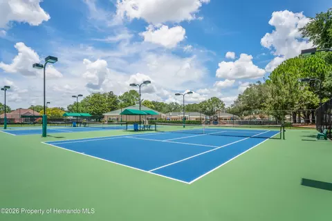Other - 14466 Tamarind Loop, Spring Hill, FL 34609 photo 21 of 24