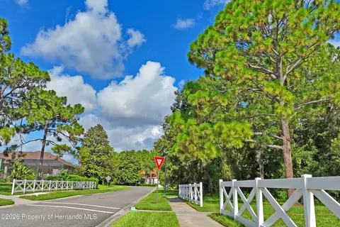 Other - 14466 Tamarind Loop, Spring Hill, FL 34609 photo 13 of 24
