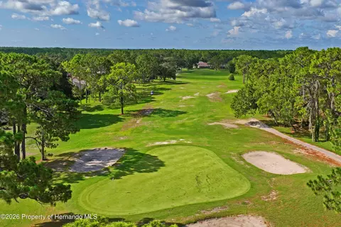 View/Area - 14466 Tamarind Loop, Spring Hill, FL 34609 photo 13 of 13