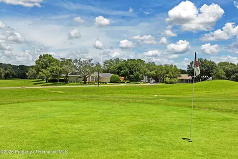 View/Area - 14466 Tamarind Loop, Spring Hill, FL 34609 photo 12 of 13