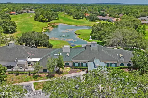 View/Area - 14466 Tamarind Loop, Spring Hill, FL 34609 photo 10 of 13