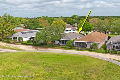 View/Area - 14466 Tamarind Loop, Spring Hill, FL 34609 photo 1 of 13