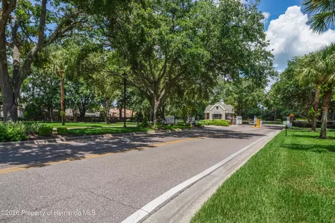 View/Area - 14466 Tamarind Loop, Spring Hill, FL 34609 photo 5 of 13