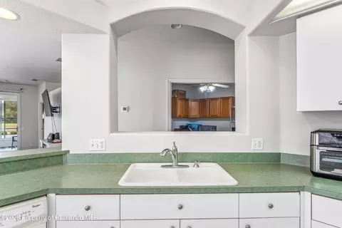 Other - 14466 Tamarind Loop, Spring Hill, FL 34609 photo 3 of 24