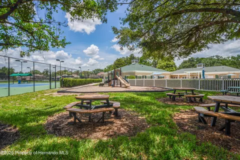 View/Area - 14466 Tamarind Loop, Spring Hill, FL 34609 photo 9 of 13