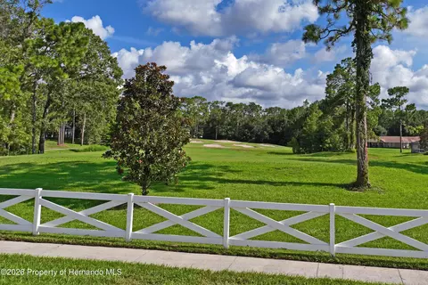 Exterior - 14466 Tamarind Loop, Spring Hill, FL 34609 photo 18 of 21