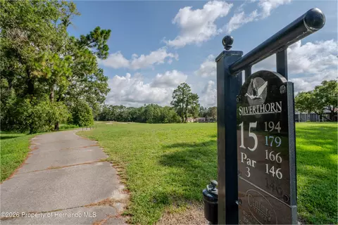 View/Area - 14466 Tamarind Loop, Spring Hill, FL 34609 photo 7 of 13
