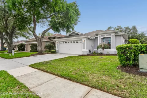 Other - 14466 Tamarind Loop, Spring Hill, FL 34609 photo 10 of 24