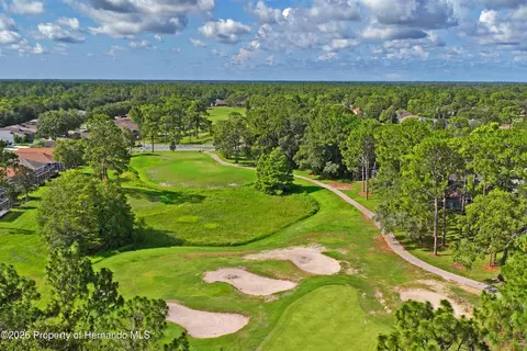 View/Area - 14466 Tamarind Loop, Spring Hill, FL 34609 photo 6 of 13