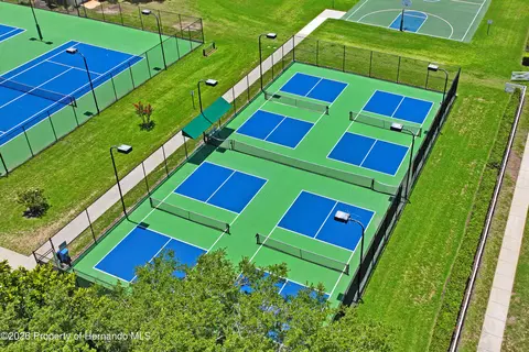 View/Area - 14466 Tamarind Loop, Spring Hill, FL 34609 photo 8 of 13