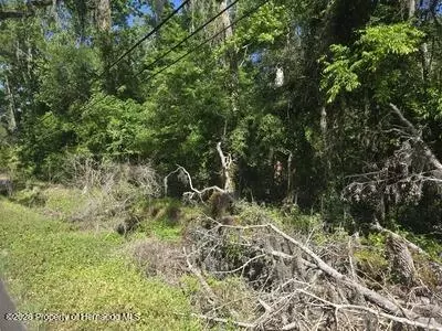 0 Fort Dade Ave, Brooksville, FL 34601