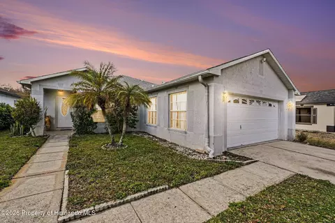 7156 Hamilton Park Blvd, Tampa, FL 33615
