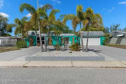 3345 Bluebird Dr, Holiday, FL 34690