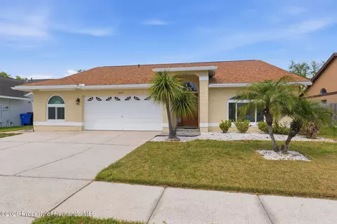 11421 Glenmont Dr, Tampa, FL 33635