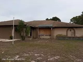 2080 Haulover Ave, Spring Hill, FL 34608