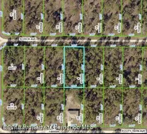 lot4 Schick Ave, Weeki Wachee, FL 34614