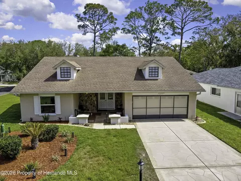 6433 Lost Tree Ln, Spring Hill, FL 34606