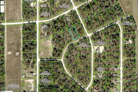 16167 Sheldrake Loop, Weeki Wachee, FL 34614 photo 2