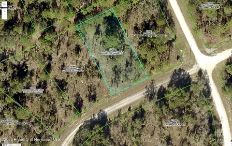 16167 Sheldrake Loop, Weeki Wachee, FL 34614