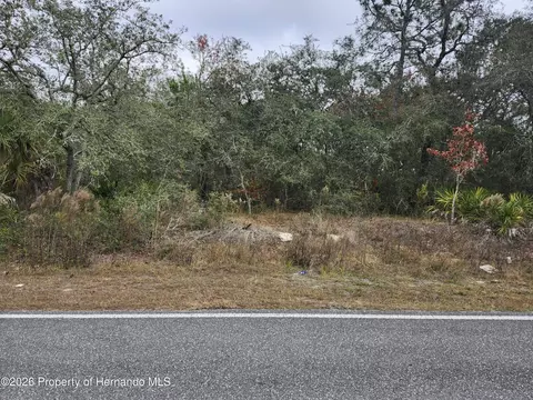0 Noddy Tern Rd, Brooksville, FL 34613