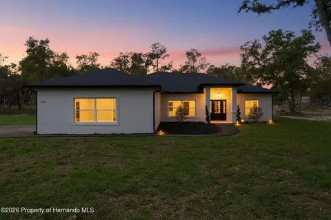 34121 August Ave, Webster, FL 33597