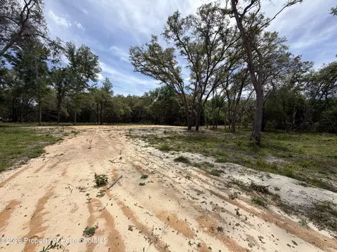 0 Wheystone Dr, Webster, FL 33597