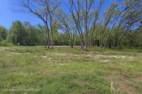 0 Wheystone Dr, Webster, FL 33597