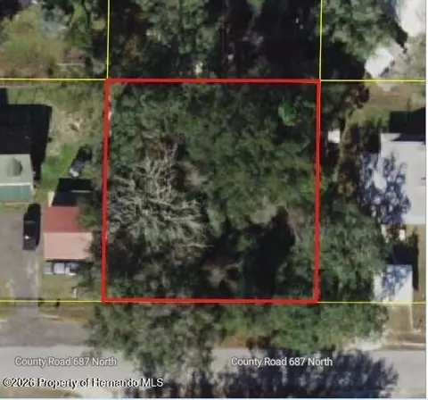0 County Road 687, Webster, FL 33597