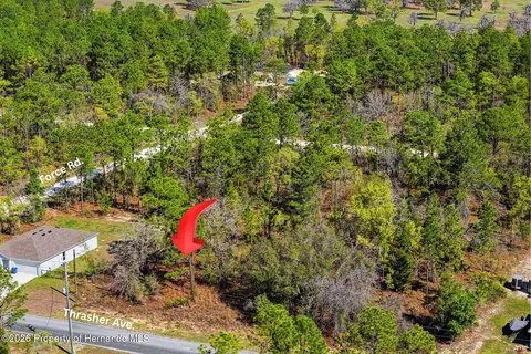 lot25 Thrasher Ave, Weeki Wachee, FL 34614