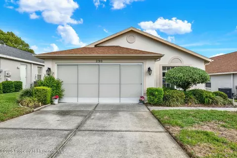 290 Quane Ave, Spring Hill, FL 34609