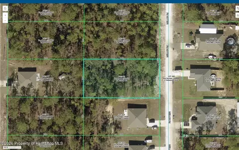 16411 Mellon Rd, Weeki Wachee, FL 34614