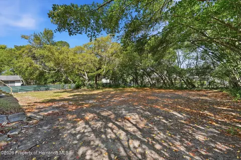 Exterior - 1745 Larkin Rd, Spring Hill, FL 34608 photo 6 of 6