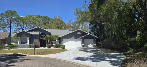 6545 Mulligan Ct, Spring Hill, FL 34606